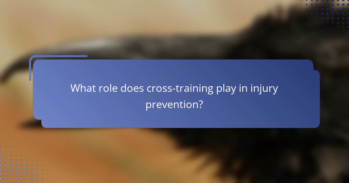 What role does cross-training play in injury prevention?